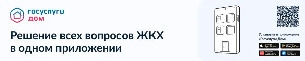 Дом Госуслуги